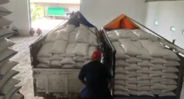 Harga Pangan Naik Hari Ini,