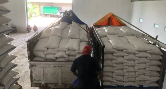 Harga Pangan Naik Hari Ini,