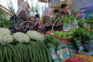 Taj Yasin Dorong PADI 2026