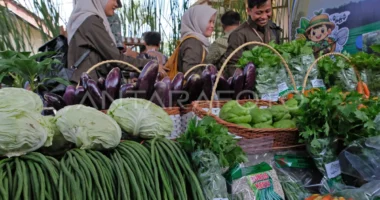 Taj Yasin Dorong PADI 2026