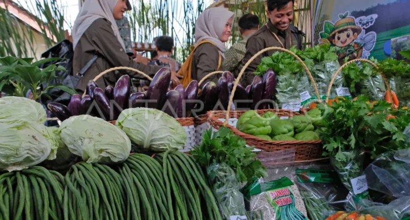 Taj Yasin Dorong PADI 2026