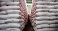 Stok Pupuk Bersubsidi Dipastikan Aman