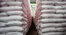 Stok Pupuk Bersubsidi Dipastikan Aman