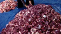 Begini 5 Tips Menangani Daging Kurban yang Benar