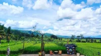 4 Rekomendasi Warung Kopi Nuansa Tradisional di Semarang