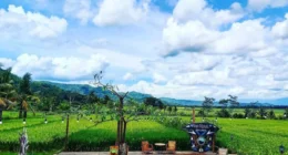 4 Rekomendasi Warung Kopi Nuansa Tradisional di Semarang