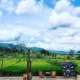 4 Rekomendasi Warung Kopi Nuansa Tradisional di Semarang